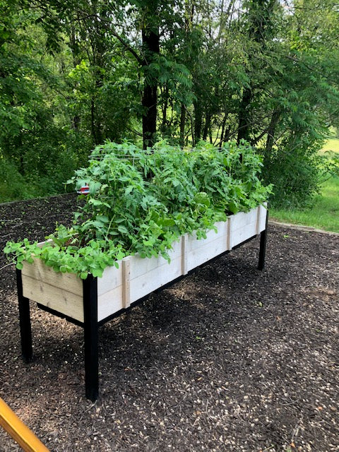 4 Ft Self-Watering Cedar Raised Garden Bed