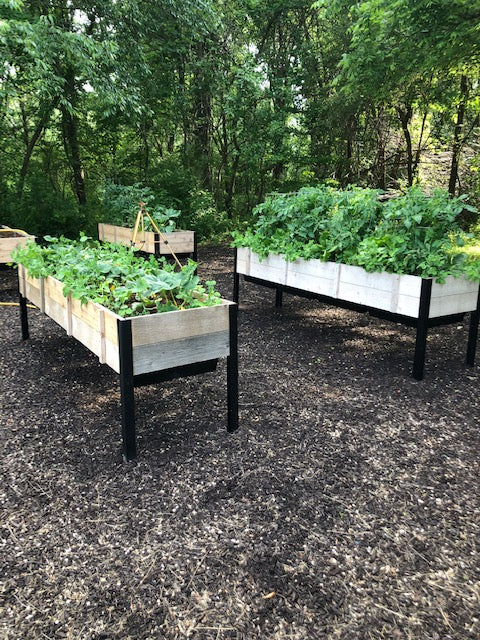 8 Ft Self-Watering Cedar Raised Garden Bed